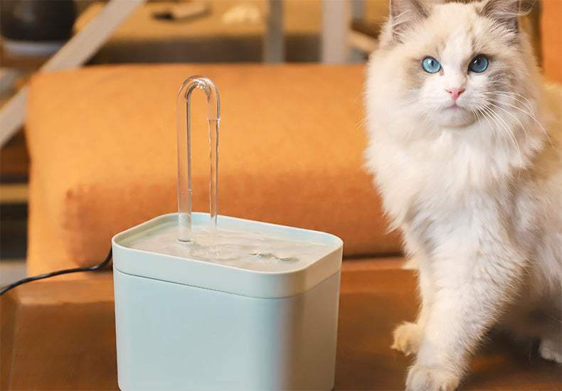 Bebedouro com filtro para Gatos - Tom®