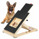 Lixa de Unha Interativa para Pets Peludita– Praticidade e Diversão em um Só Produto