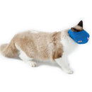 Máscara para Gatos Peludita - Proteção na Hora dos Procedimentos