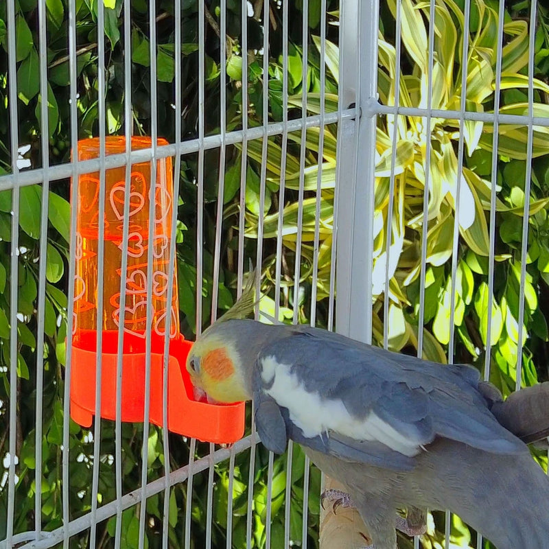 Kit Bebedouro e Comedouro Calopsita Laranja N°2