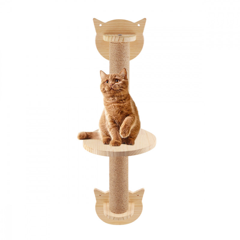 Parede Cat