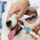 KIT 2 Canetas de Limpeza Dental Profunda Peludita - OFERTA RELÂMPAGO!