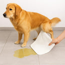 Lenços Descartáveis Absorventes de Xixi Pet - Peludita