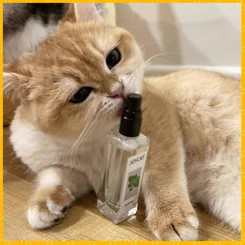 Matatabi em Spray para Gatos Peludita-SUPER OFERTA