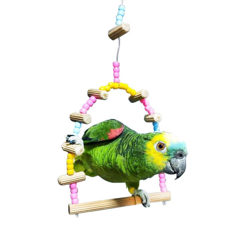 Brinquedo Calopsita / Papagaio - Poleiro Balanço Decorado