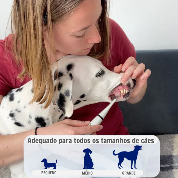 Removedor de Tártaro Ultrassônico Peludita- OFERTA RELÂMPAGO