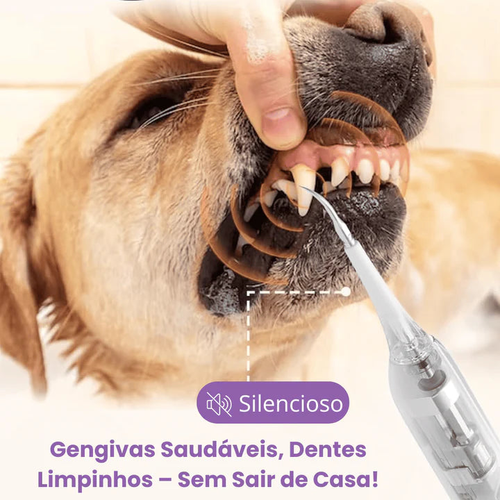 Removedor de Tártaro Ultrassônico Peludita- OFERTA RELÂMPAGO