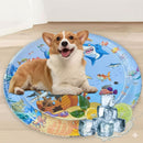 Tapete Inflável com Água peludita - SUPER OFERTA!