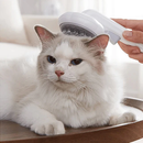 Rasqueadeira Abóbora Peludita- OFERTA ESPECIAL