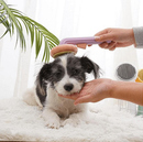 Rasqueadeira Abóbora Peludita- OFERTA ESPECIAL