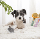 Rasqueadeira Abóbora Peludita- OFERTA ESPECIAL