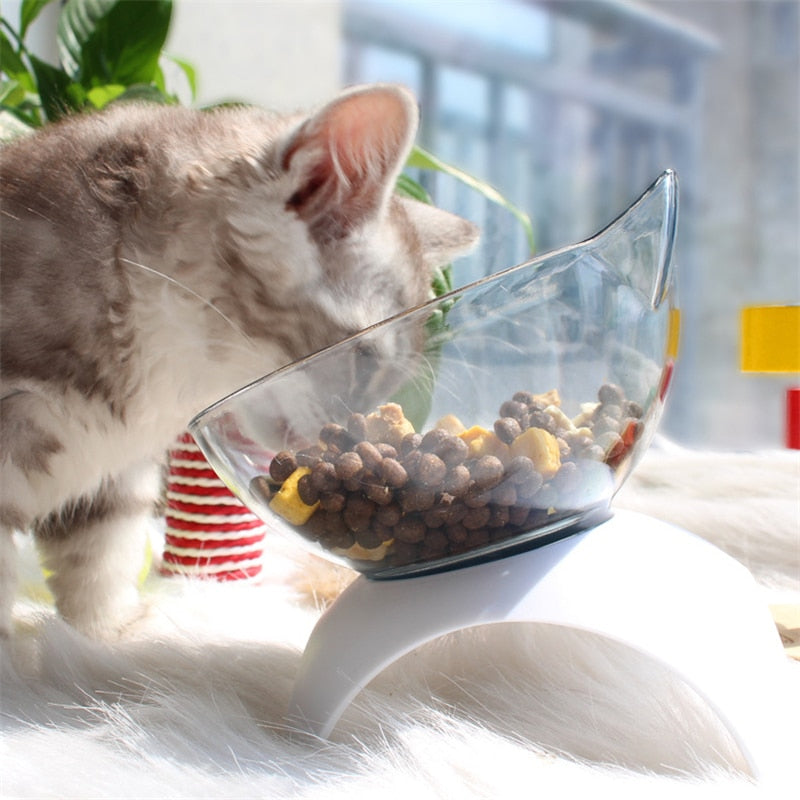 Comedouro para gatinhos