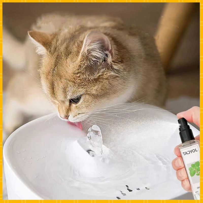 Matatabi em Spray para Gatos Peludita-SUPER OFERTA