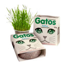 Kit 2 Unidades de Grama Instantânea Para Gatos Peludita - SUPER OFERTA