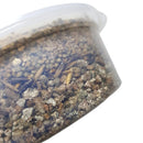 Kit 2 Unidades de Grama Instantânea Para Gatos Peludita - SUPER OFERTA