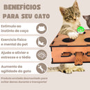 Piano Interativo Para Gatos Peludita-OFERTA RELÂMPAGO