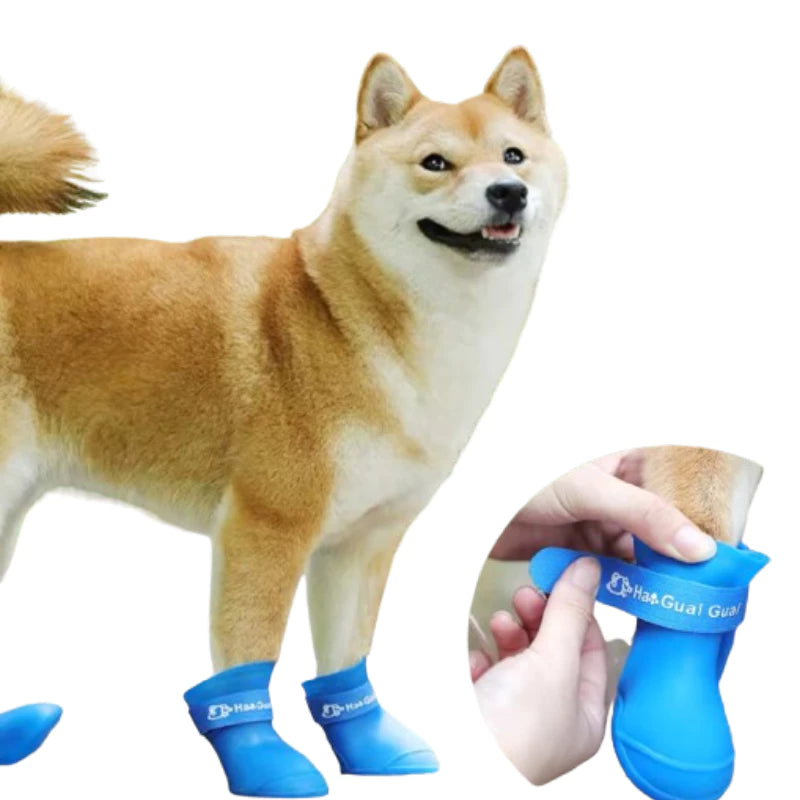 Sapatinho para Cachorro a prova D'água Peludita