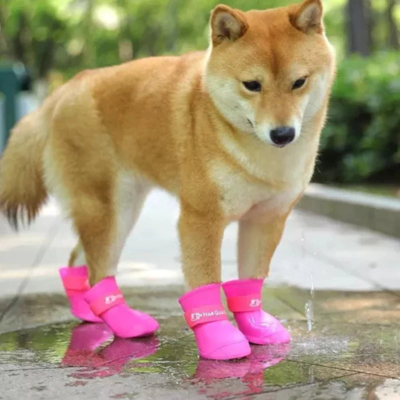 Sapatinho para Cachorro a prova D'água Peludita