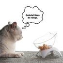 Comedouro para gatinhos