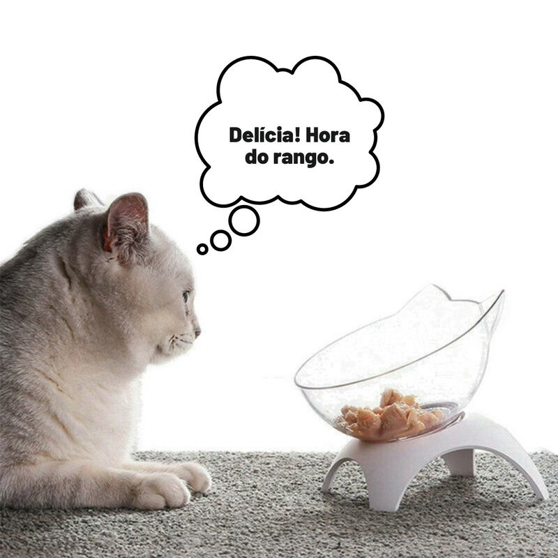 Comedouro para gatinhos