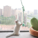 Molinha Interativa para Gatos Peludita- SUPER OFERTA