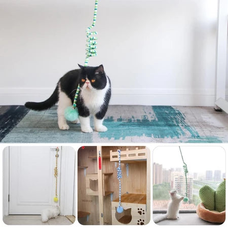Molinha Interativa para Gatos Peludita- SUPER OFERTA