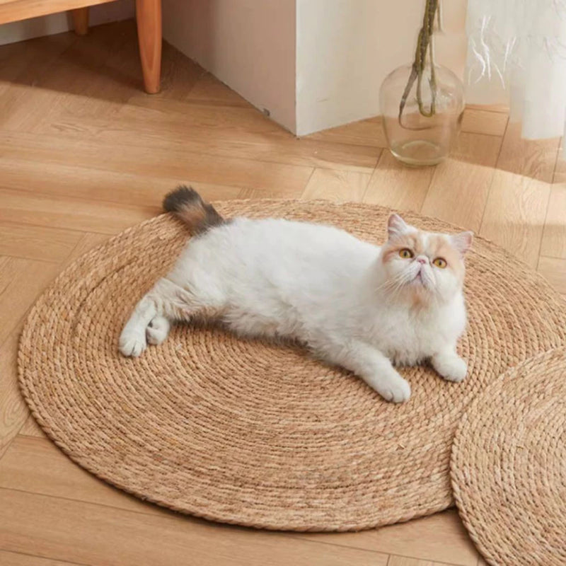 Tapete Arranhador de Sisal Peludita-OFERTA ESPECIAL