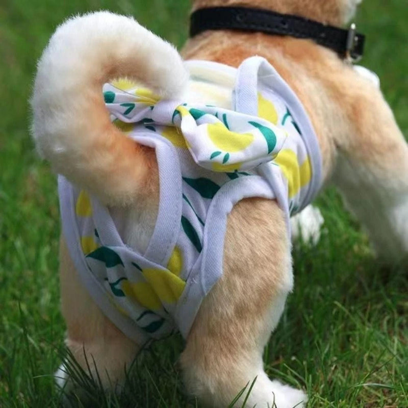 Fralda Pet Reutilizável Peludita- PROMOÇÃO RELÂMPAGO